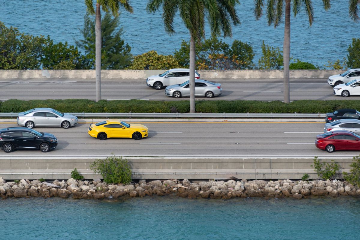 Cars on a coastal causeway lined with palm trees