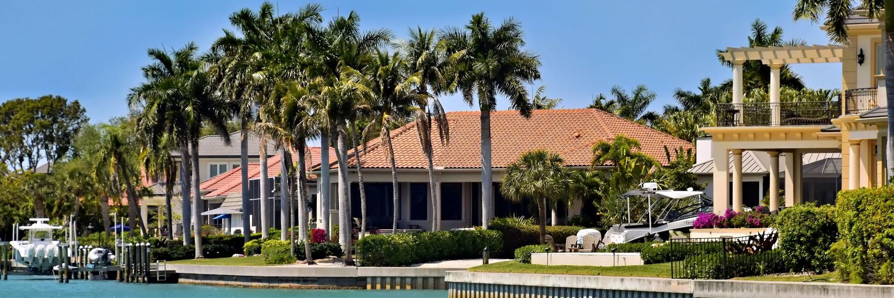Waterfront homes with palm trees along a canal