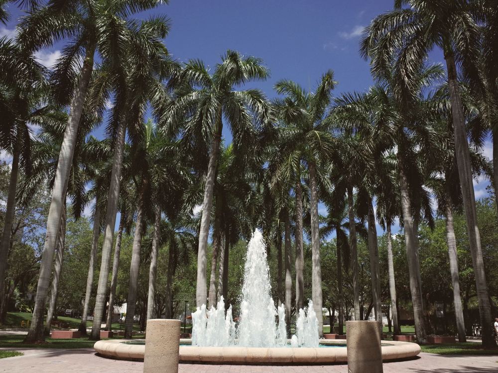 Fountain and palm trees on a South Florida university campus