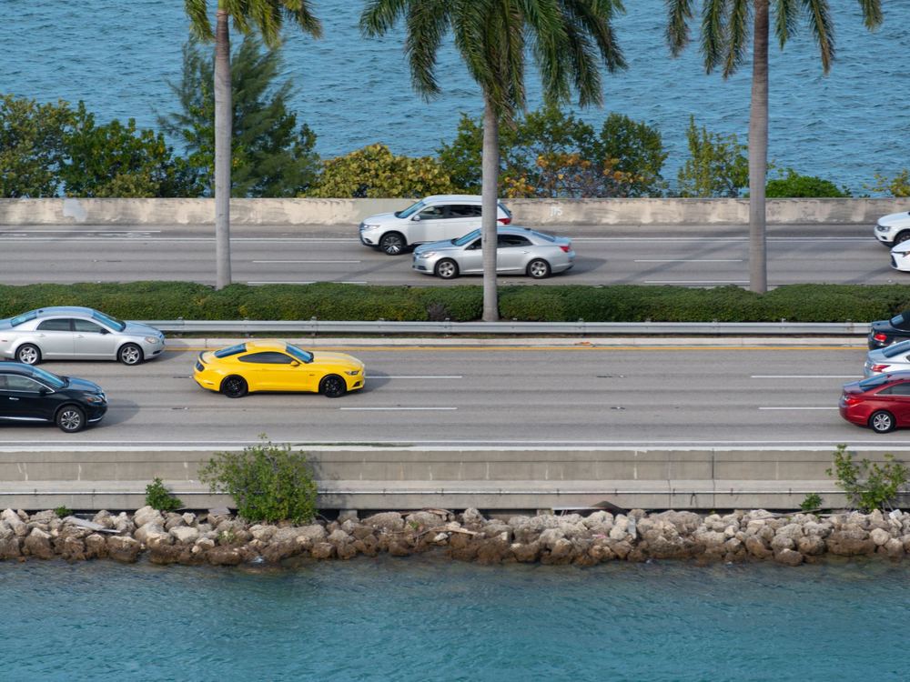 Cars on a coastal causeway lined with palm trees