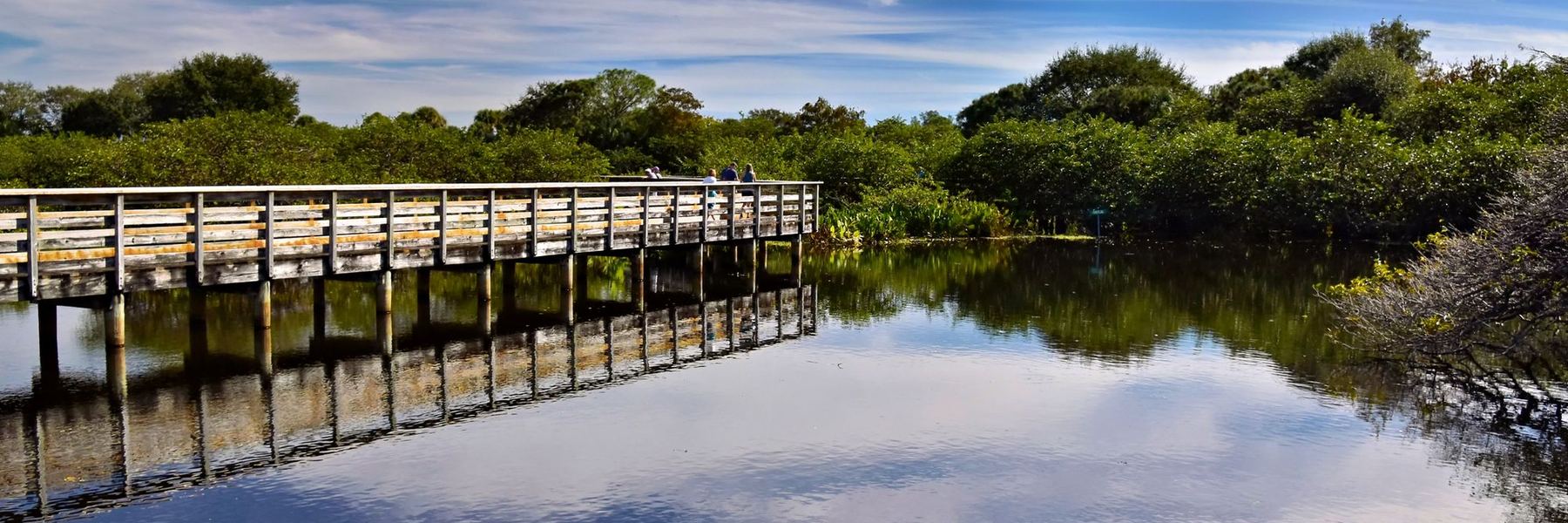 Boardwalk over a wetland lake in Delray Beach