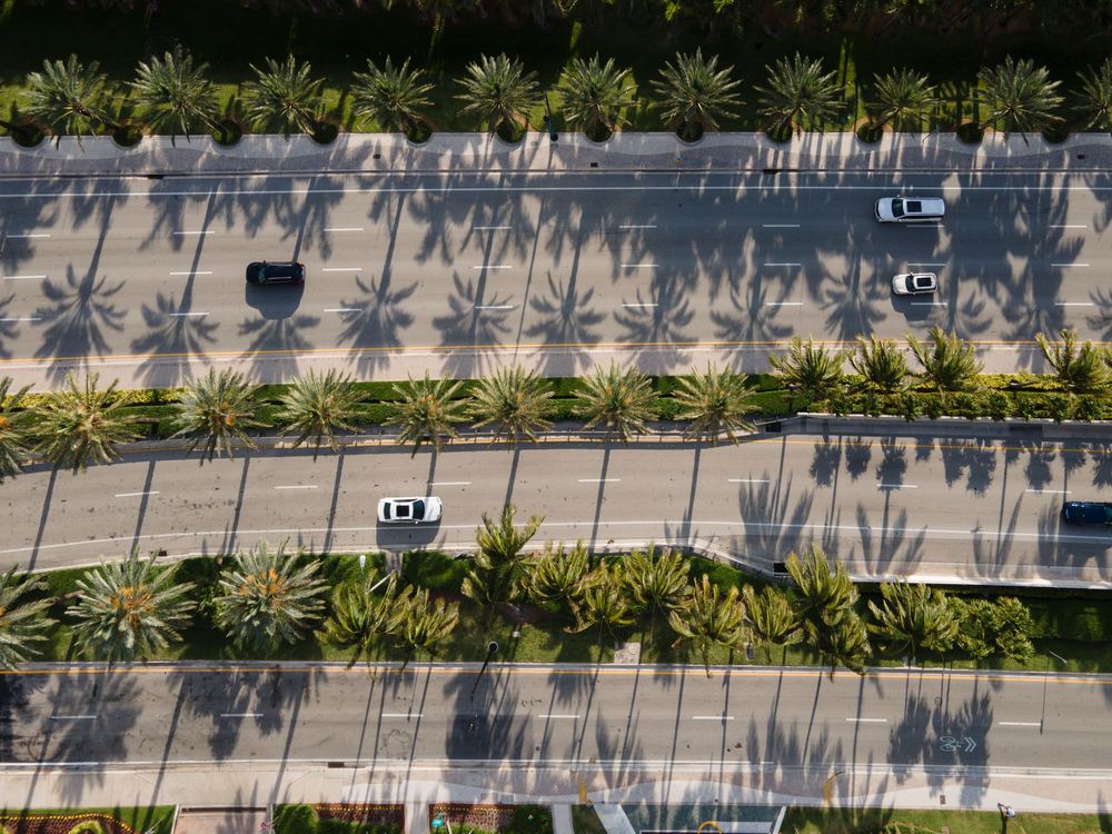 A palm-lined boulevard in South Florida, seen from above