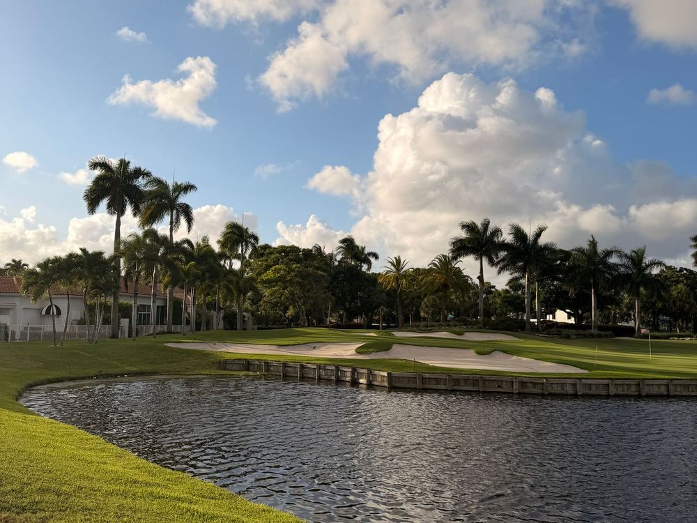 Lake, palm trees and a golf course in South Florida