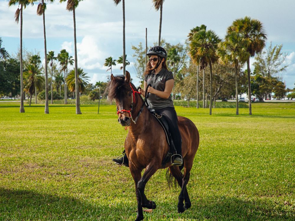 Horseback riding in a park with palm trees