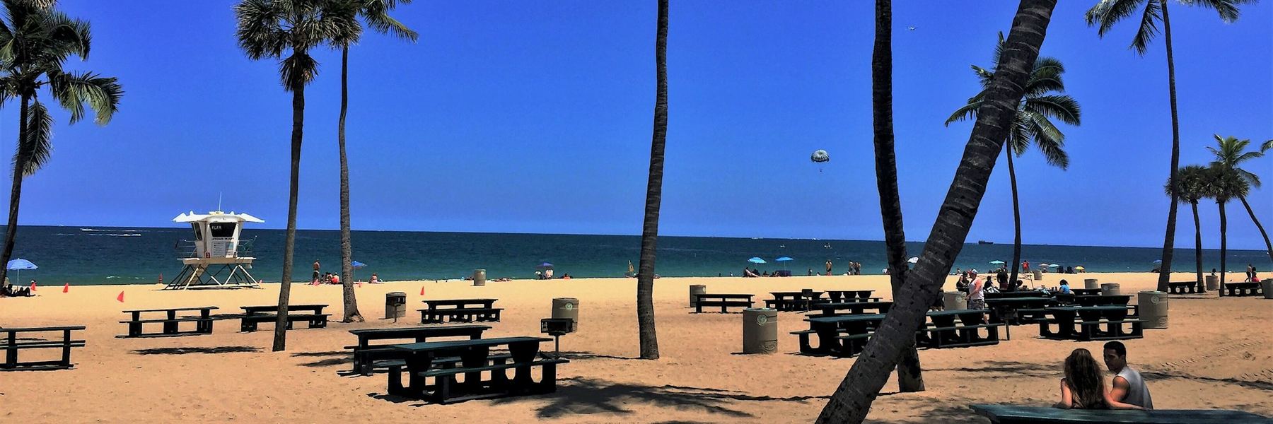 Beachfront park with palm trees and picnic tables on the South Florida coast